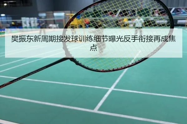 樊振东新周期接发球训练细节曝光反手衔接再成焦点