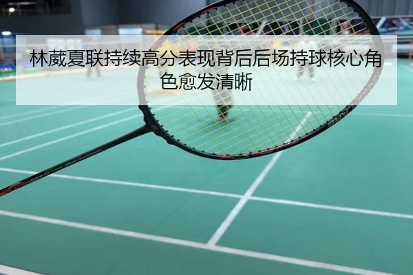 林葳夏联持续高分表现背后后场持球核心角色愈发清晰